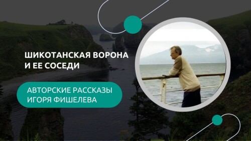 ifi_017156.jpg